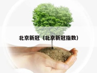 北京新冠（北京新冠指数）