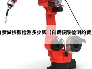 自费做核酸检测多少钱（自费核酸检测的费用）