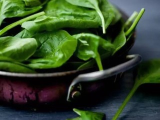 菠菜网最新平台网官方版最新版本V77.86.121.204ios版本-推荐