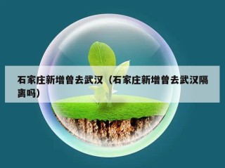 石家庄新增曾去武汉（石家庄新增曾去武汉隔离吗）